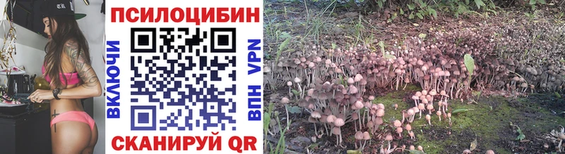 OMG ссылка  Грязовец  Галлюциногенные грибы мухоморы 
