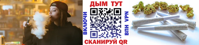 где можно купить наркотик  Грязовец  Каннабис тримм 